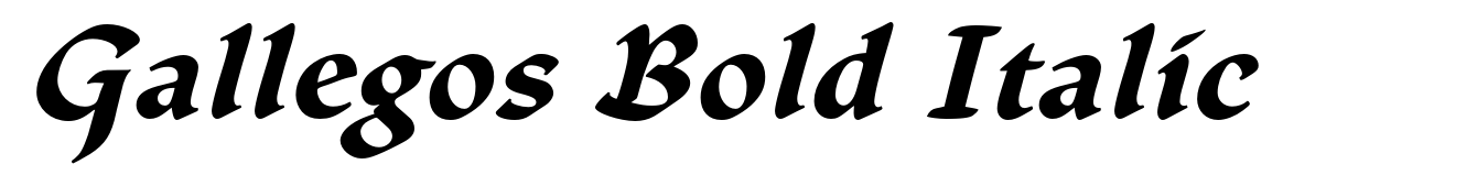 Gallegos Bold Italic